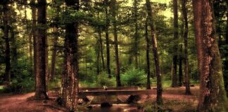 Które z czynników środowiska pracy zaliczamy do biologicznych?