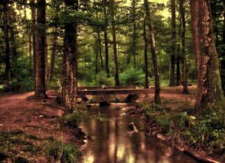 Które z czynników środowiska pracy zaliczamy do biologicznych?