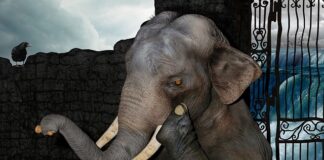 Jak skupić się na tym co tu i teraz?