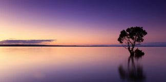 Jak osiągnąć spokój w głowie?