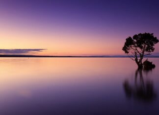 Jak osiągnąć spokój w głowie?