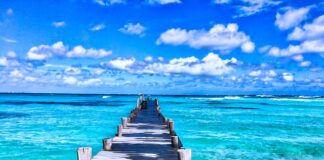 Ile wynoszą wczasy pod gruszą w 2023 roku?