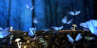 Co określa struktura czasowa jednostki treningowej?