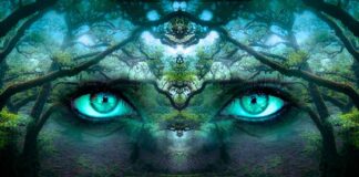 Co nam daje świadomość?