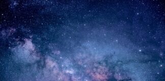 Co obejmuje badania marketingowe?