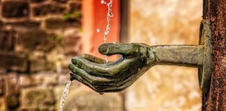 Co to funkcją selekcji rynku?