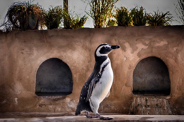 Jak długo trwają lekcje w USA? Jak długo trwają lekcje w USA?