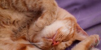 Dlaczego boję się podejmować decyzje?