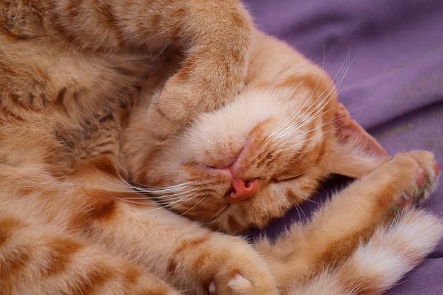 Dlaczego boję się podejmować decyzje? Dlaczego boję się podejmować decyzje?