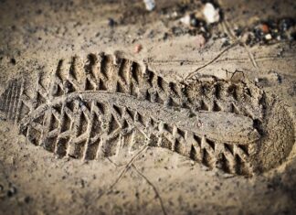 Czy Ocena pracy nauczyciela jest obowiązkowa? Czy Ocena pracy nauczyciela jest obowiązkowa?