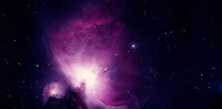 Jak zrobić research rynku?