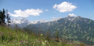 Co to jest hossa i bessa?