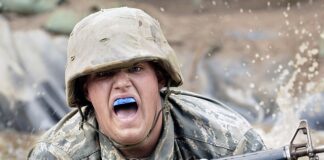 Co jest wyżej akademia czy uniwersytet?