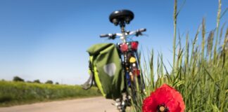 Jaką aktywność fizyczna jest najlepsza?