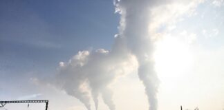 W jaką branże warto inwestować?