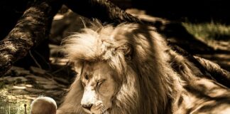 Co to jest objętość treningu?