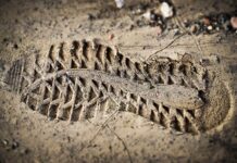 Czy oceny z liceum liczy się na studia? Czy oceny z liceum liczy się na studia?