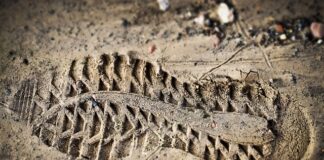 Czy oceny z liceum liczy się na studia?