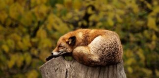 Jak być zrelaksowanym?