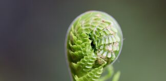 Jak rozwijać swoją świadomość?