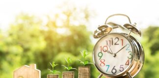 Jak obliczyć dochód do wczasów pod gruszą?