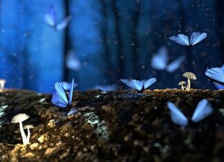 Co to jest struktura treningu?