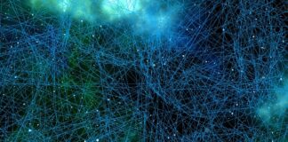 Ile procent mózgu wykorzystuje człowiek?