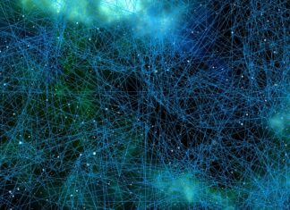 Ile procent mózgu wykorzystuje człowiek? Ile procent mózgu wykorzystuje człowiek?