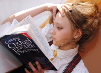 Kto może prowadzić dodatkowe zajęcia z języka polskiego dla uczniów niebędących obywatelami polskimi?