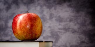 Do której klasy przyjąć dziecko powracające z zagranicy?