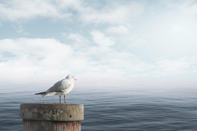 Jak się uspokoić i wyciszyć? Jak się uspokoić i wyciszyć?