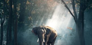 Jakie może być środowisko pracy?