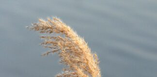 Czym się różnią warunki szkodliwe od uciążliwych?