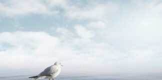 Jak uspokoić swoją głowę?