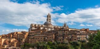 Jakie są obszary rozwoju pracownika?