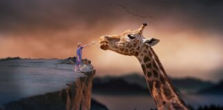 Czy da się żyć bez wykształcenia?