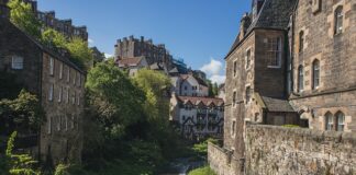 Czym się różni Dziekan od rektora?