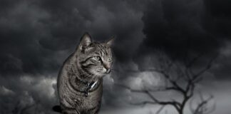 Po co wycenia się projekty innowacyjne?