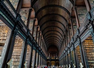 Czym się różni uczelnia od szkoły wyższej?