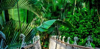 Ile trwa kurs kosmetyczny?