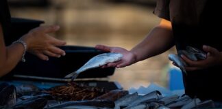 Jak dobrze sprzedawać door-to-door?