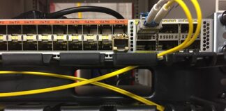 Czy po technikum masz zawód?