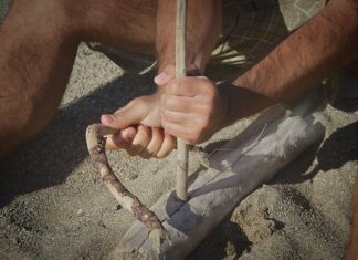 Co odpowiada za podejmowanie świadomych decyzji? Co odpowiada za podejmowanie świadomych decyzji?