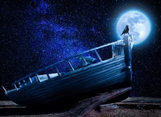 Co to jest podstawa programowa i co zawiera? Co to jest podstawa programowa i co zawiera?