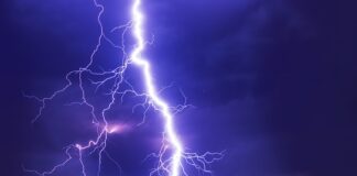 W jaki sposób państwo może wpływać na rozwój przedsiębiorczości?