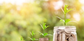 Jak państwo ingeruję w rynek?