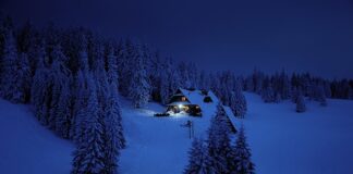 Co jest celem polityki?