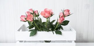 Jak się dzielą pasywa?