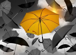 Jakie przedmioty na stosunki międzynarodowe?