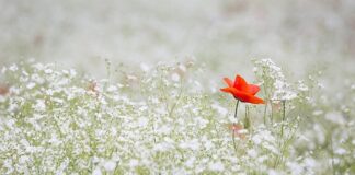 W jaki sposób oceniamy oddech?